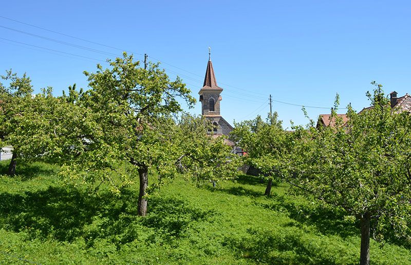 DSC 0037 16 800 600 80
