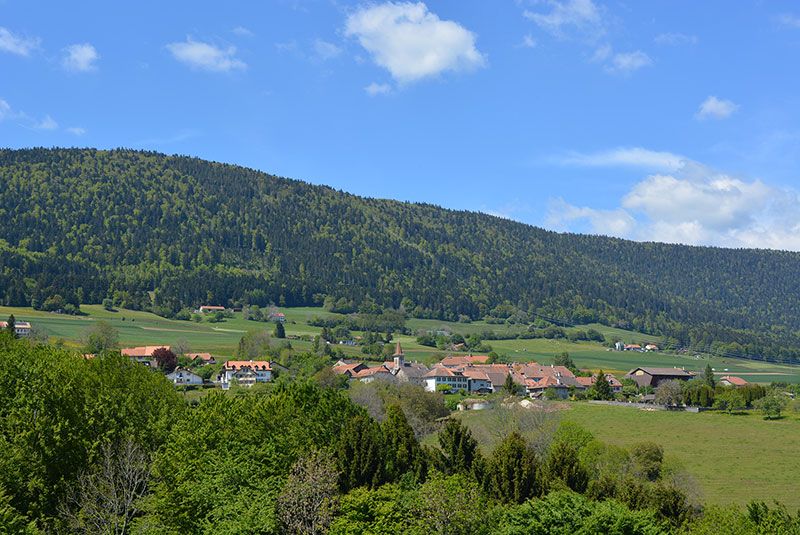 DSC 0115 25 800 600 80